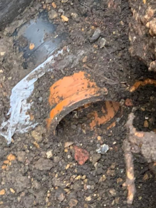 most rats enter your property through broken drains